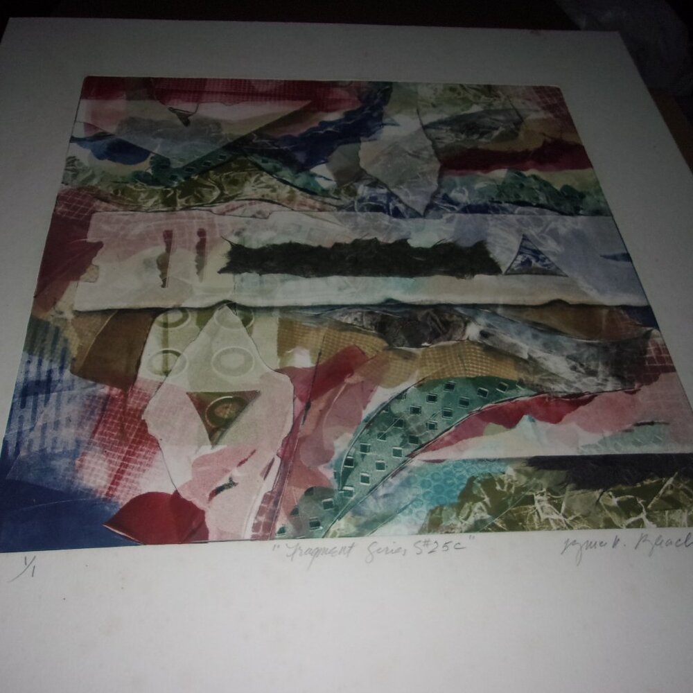 BRUCE BLEACH SIGNED ART - Picture 1 of 13